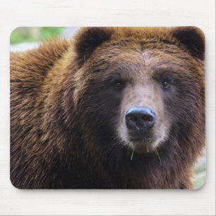 Brown Grizzly Bear Mouse Pad