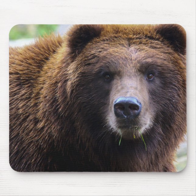 Brown Grizzly Bear Mouse Pad (Front)