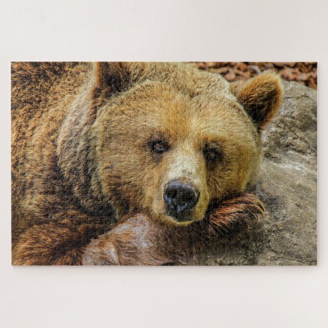 Brown grizzly bear photo jigsaw puzzle (Horizontal)