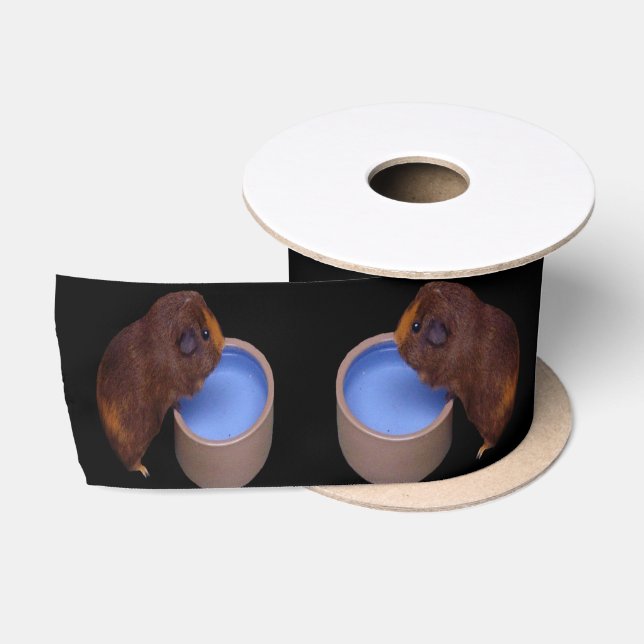Brown Guinea Pig Standing Drinking, Satin Ribbon (Spool)