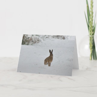 Brown hare in snow Christmas card