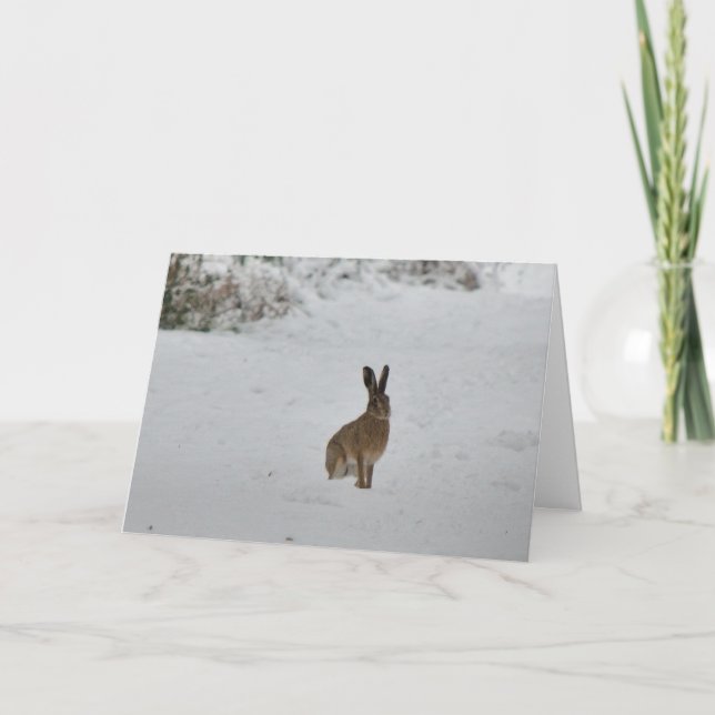 Brown hare in snow Christmas card (Front)