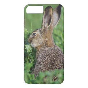 Brown Hare, Lepus europaeus, young eating, iPhone 8 Plus/7 Plus Case