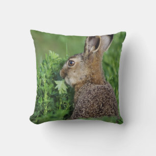 Brown Hare, Lepus europaeus, young eating, Throw Pillow