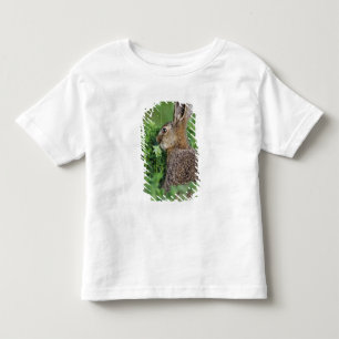 Brown Hare, Lepus europaeus, young eating, Toddler T-shirt