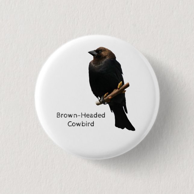 Brown-Headed Cowbird 1 Inch Round Button (Front)