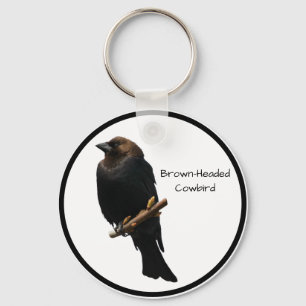 Brown-headed Cowbird Keychain
