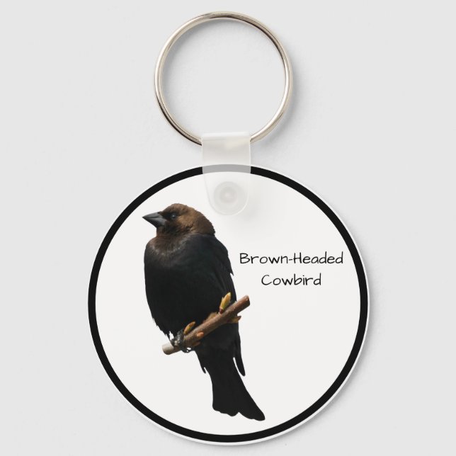 Brown-headed Cowbird Keychain (Front)