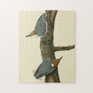 Brown-headed Nuthatch - Audubon's Birds of America Jigsaw Puzzle