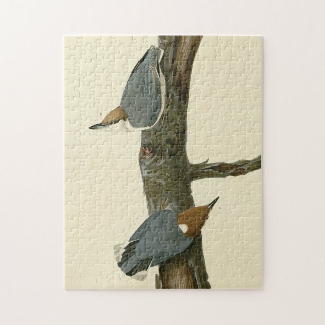 Brown-headed Nuthatch - Audubon's Birds of America Jigsaw Puzzle (Vertical)