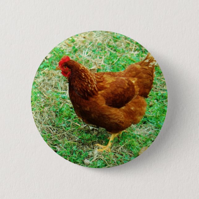 Brown Hen 2 Inch Round Button (Front)