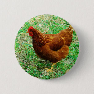 Brown Hen 2 Inch Round Button