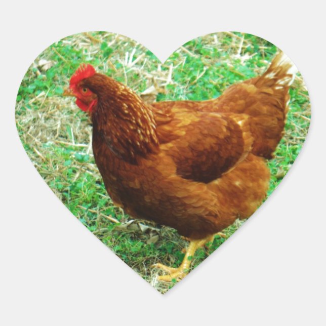 Brown Hen Heart Sticker (Front)