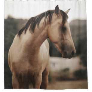 BROWN HORSE