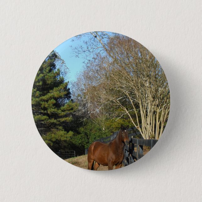 Brown Horse against a Fence 2 Inch Round Button (Front)