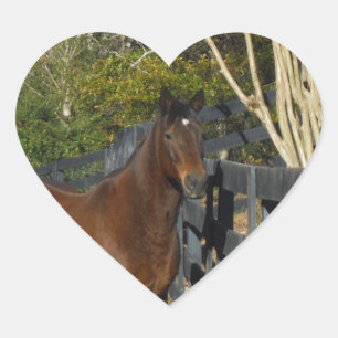Brown Horse against a Fence Heart Sticker