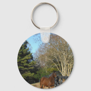 Brown Horse against a Fence Keychain