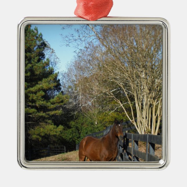 Brown Horse against a Fence Metal Ornament (Front)