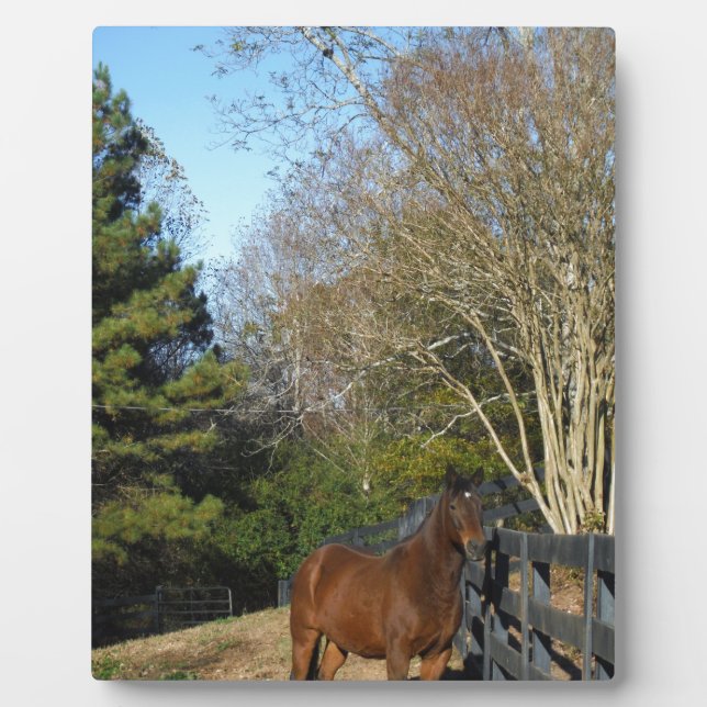 Brown Horse against a Fence Plaque (Front)