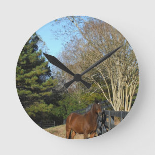Brown Horse against a Fence Round Clock