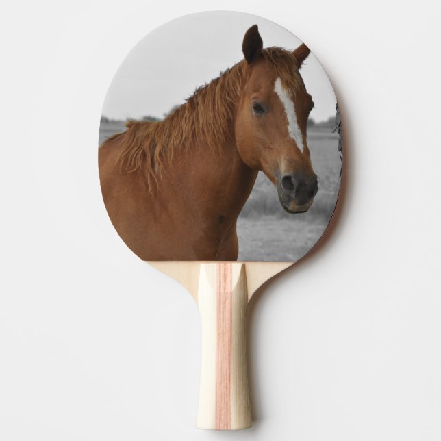 Brown Horse, B&W Background Ping Pong Paddle (Front)