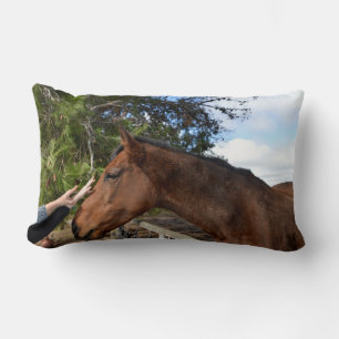 Brown Horse Called Bennie Loving A Pat, Lumbar Pillow