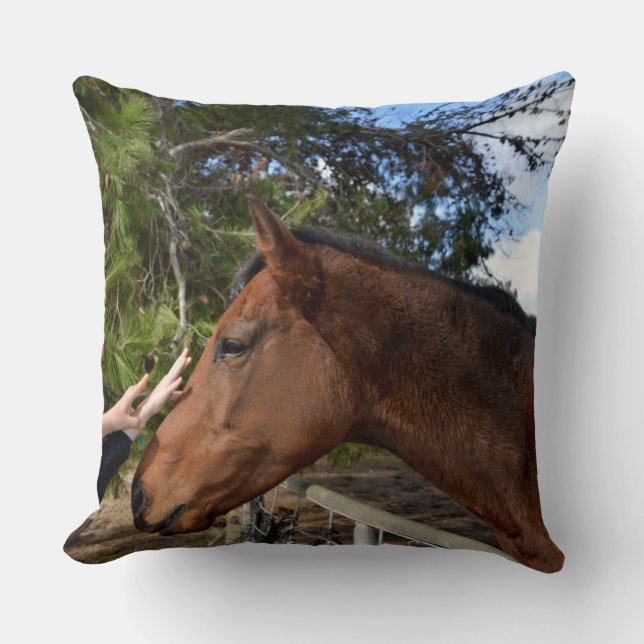 Brown Horse Called Bennie Loving A  Pat, Throw Pillow (Front)