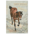 Brown Horse Carte Postale French Green Decoupage  