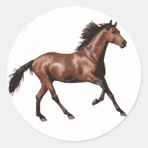 Brown Horse  Classic Round Sticker
