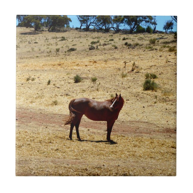 Brown_Horse_Country,_ Tile (Front)