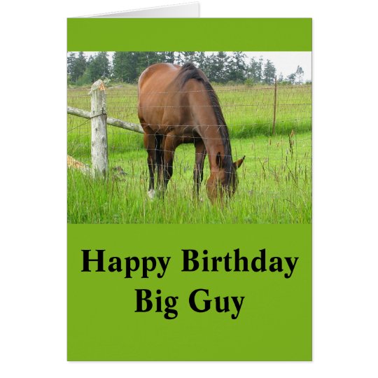 Brown Horse Eatting Grass in a Bright Green Field Card