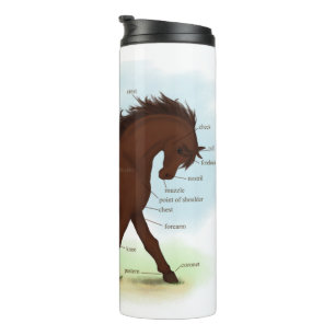 Brown Horse Educational Equine Anatomy Chart Thermal Tumbler