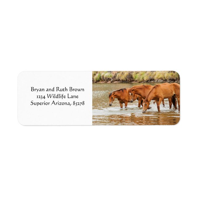 Brown horse  family at the river (Front)