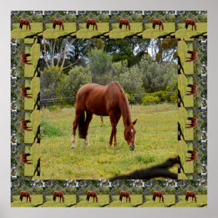 Brown Horse Grazing Bordered With Same Image, Poster