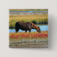 Brown Horse Grazing by Water Meadow