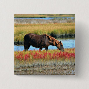 Brown Horse Grazing by Water Meadow 2 Inch Square Button