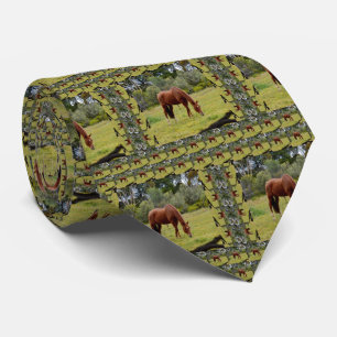 Brown Horse Grazing In Paddock, Tie