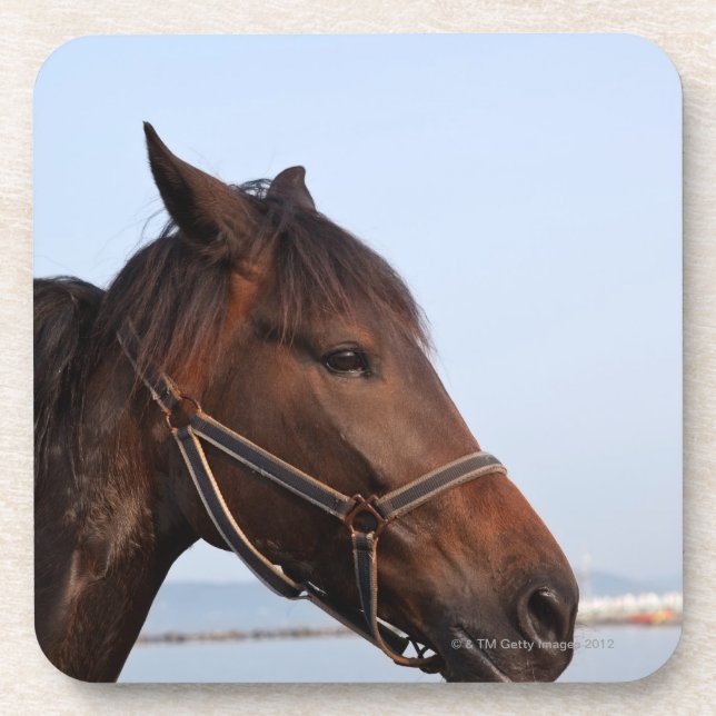 Brown horse head coaster (Front)