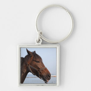 Brown horse head keychain