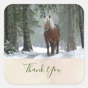 Brown Horse in a Forest in Winter Scenic Thank You Square Sticker