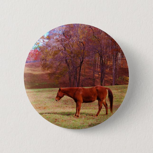 Brown horse in a grass field 2 inch round button (Front)
