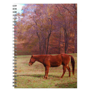 Brown horse in a grass field notebook