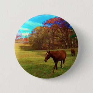 Brown Horse in a Rainbow coloured field 2 Inch Round Button