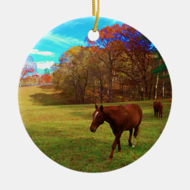 Brown Horse in a Rainbow coloured field Ceramic Ornament (Front)