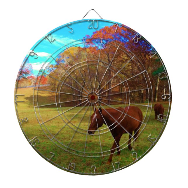 Brown Horse in a Rainbow coloured field Dartboard (Front)