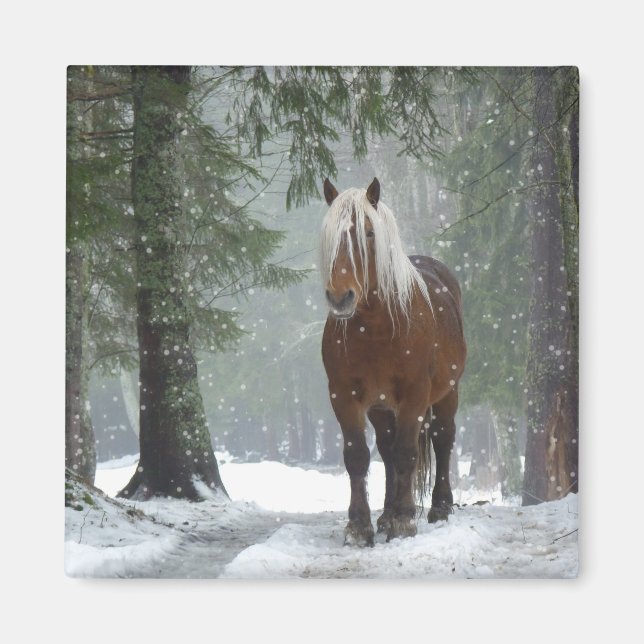 Brown Horse in a Winter Forest with Snow Falling Magnet (Front)