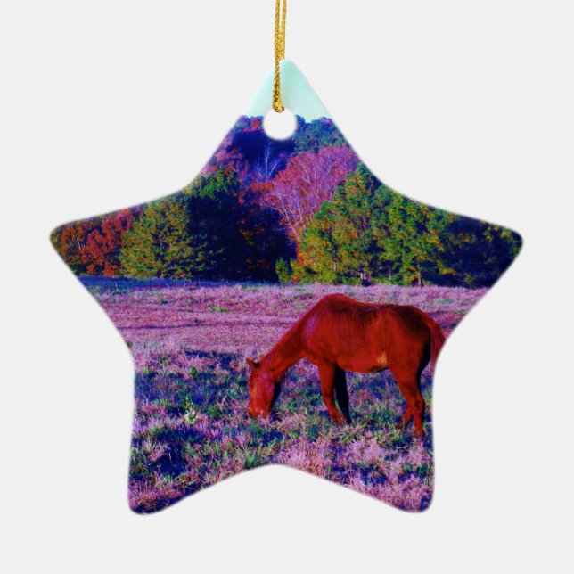 Brown horse in Purple Grass Ceramic Ornament (Front)