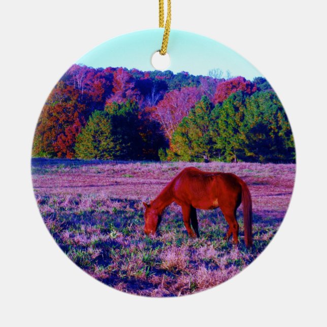 Brown horse in Purple Grass Ceramic Ornament (Front)