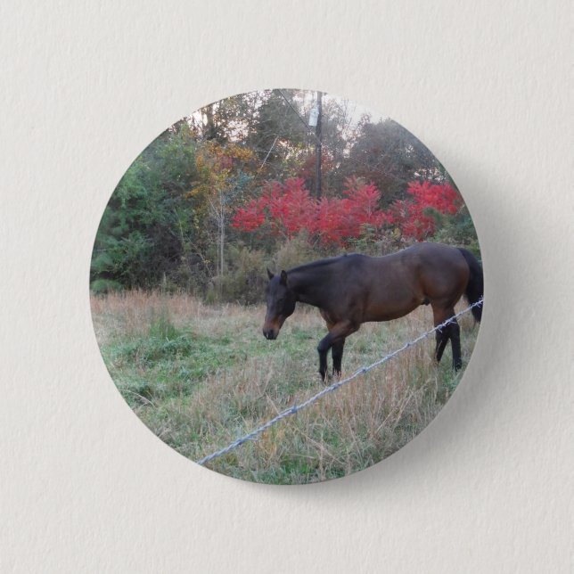 Brown horse in the red autumn trees 2 inch round button (Front)