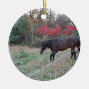 Brown horse in the red autumn trees ceramic ornament